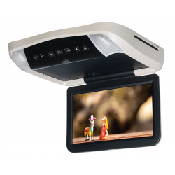 Overhead DVD and Video